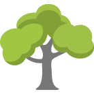 Navarre Tree Removal