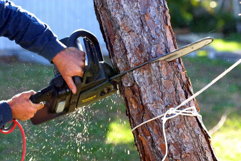 Who provides tree removal services in Navarre FL