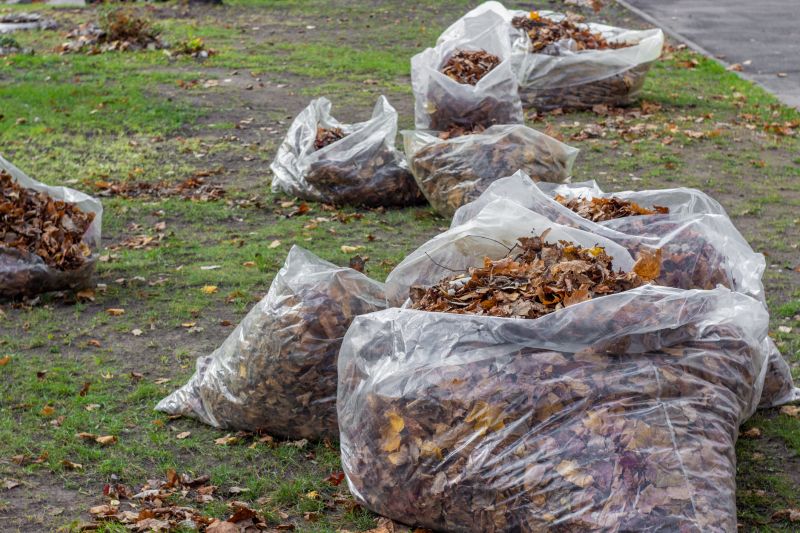 Leaf Collection and Removal