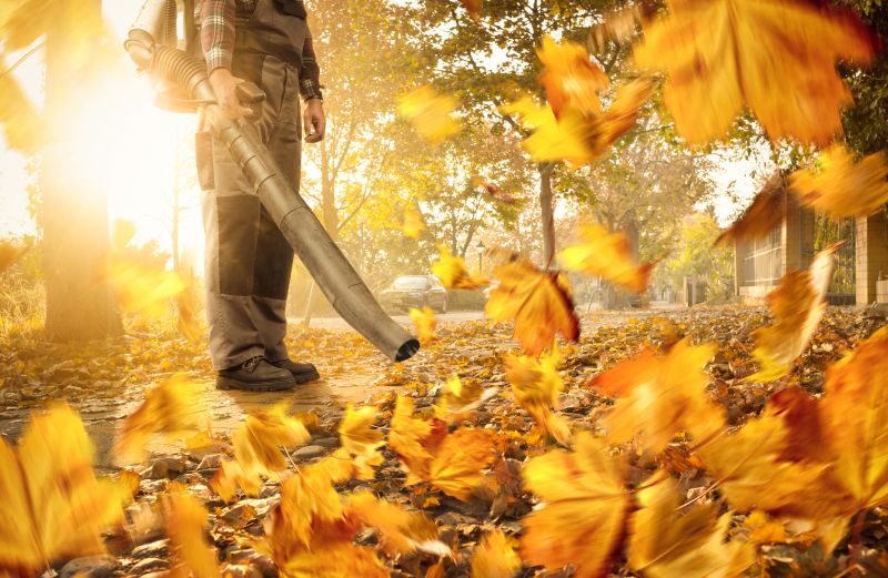 Customized Leaf Management