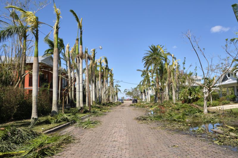 Clearing Debris