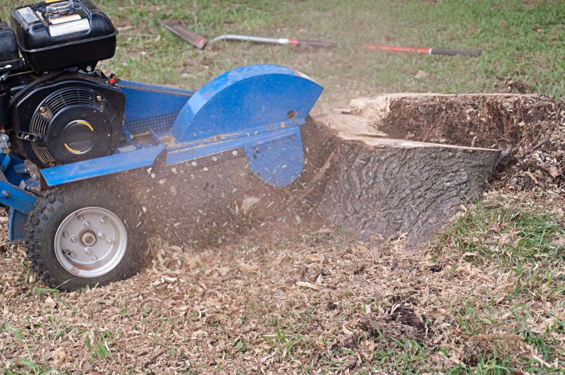 Stump Grinding After Removal