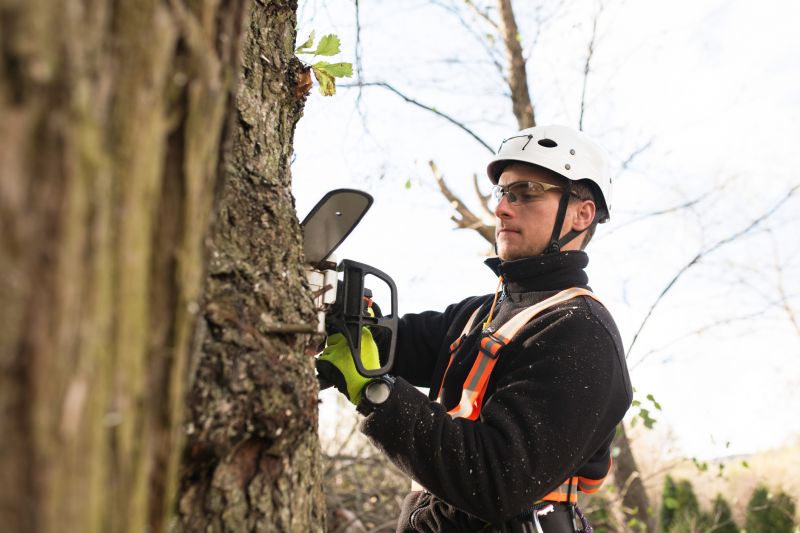 Safety Gear and Precautions